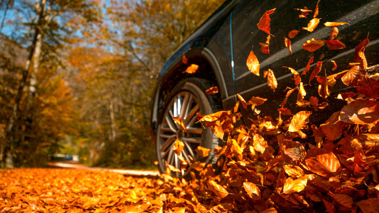 Auto fährt durch einen Haufen von Blättern im Herbst.
